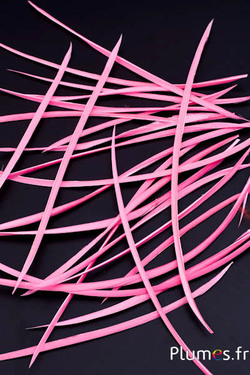 Oie strippé  - 10-17 cm - rose 